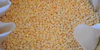 Шаг 4: ягодного торта-безе