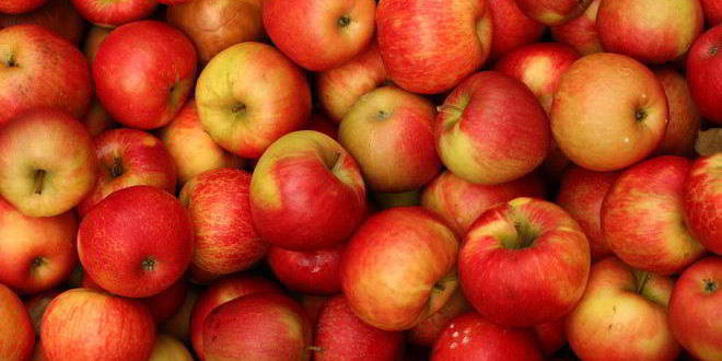 Рецепт домашней яблочной пастилы