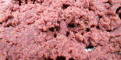 Шаг 8: рождественских конфет красный бархат