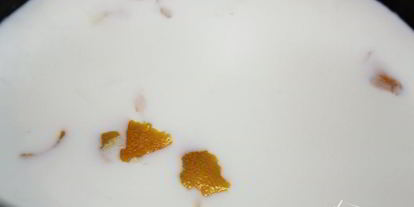 Шаг 8: биньего с кремом шантильи, покрытый шоколадным ганашем