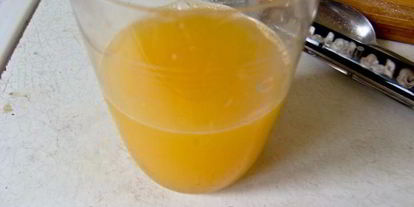 Шаг 4: рулета с луковым мармеладом