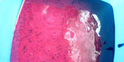 Шаг 4: черничного мороженого