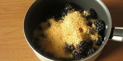 Шаг 1: кокосового мороженого с ежевикой