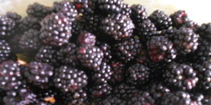 Шаг 2: мороженого с ежевикой