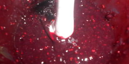 Шаг 3: мороженого с ежевикой