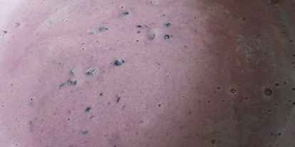 Шаг 9: мороженого с ежевикой