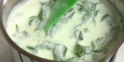 Шаг 1: мороженого с мятой и шоколадом