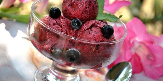 Рецепт смородинова-йогуртового мороженого диетического