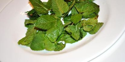 Шаг 1: смородинова-йогуртового мороженого диетического