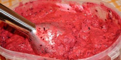 Шаг 6: смородинова-йогуртового мороженого диетического