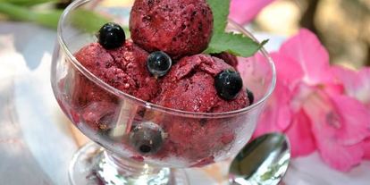 Шаг 8: смородинова-йогуртового мороженого диетического