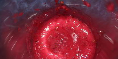 Шаг 10: торта-мороженого смородинка