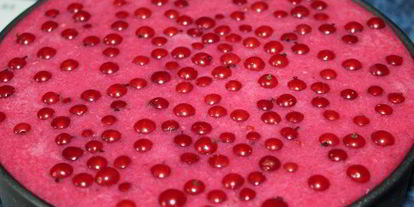 Шаг 13: торта-мороженого смородинка