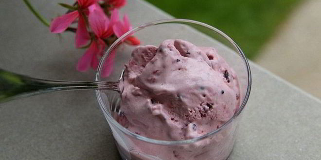 Рецепт ягодного мороженого