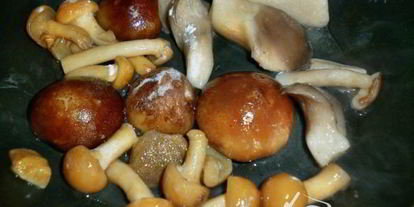 Шаг 2: баклажанова-грибного мусс