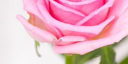 Шаг 8: малинового мусса с ароматом розы