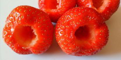 Шаг 5: мусса из авокадо с клубникой и шоколадом