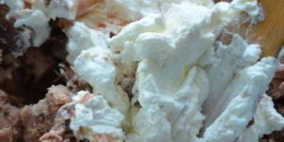 Шаг 1: мусса из тунца на абрикосах