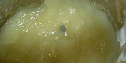 Шаг 3: мусса из яблок