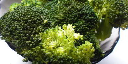 Шаг 1: рыбного террина с креветочным муссом на подушечке из брокколи