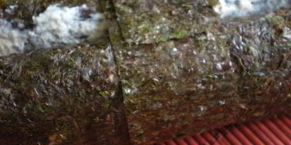 Шаг 11: рыбного террина с креветочным муссом на подушечке из брокколи