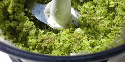 Шаг 15: рыбного террина с креветочным муссом на подушечке из брокколи