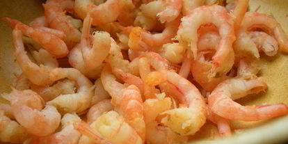 Шаг 2: рыбного террина с креветочным муссом на подушечке из брокколи