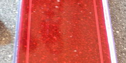 Шаг 5: тирамису с кокосовым муссом, малиновым желе и черникой