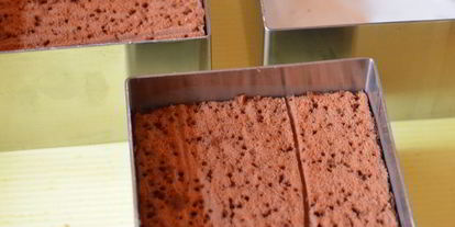 Шаг 8: тирамису с кокосовым муссом, малиновым желе и черникой