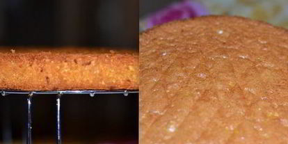 Шаг 6: торта-мусса шоколадно-грушевый