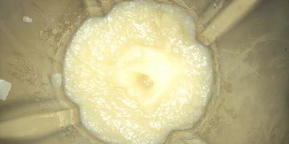 Шаг 4: яблочного мусса