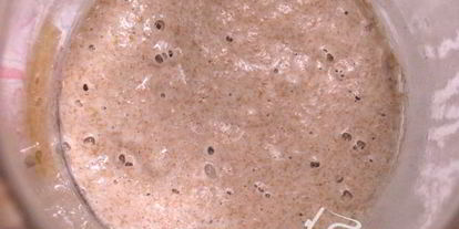 Шаг 1: итальянского пасхального кулича colomba на закваске