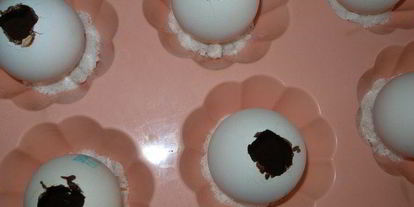 Шаг 3: пасхальных брауни в яичной скорлупе