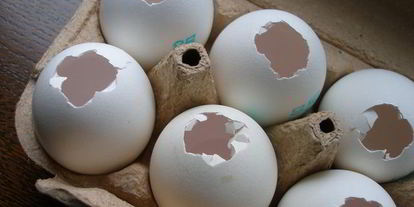 Шаг 4: пасхальных брауни в яичной скорлупе