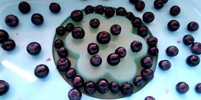 Шаг 9: разноцветного молочно-ягодного желе