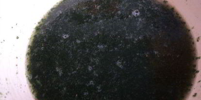 Шаг 1: сливочно-ягодно суфле