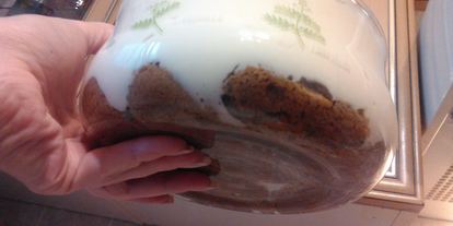 Шаг 7: тирамису со сливками