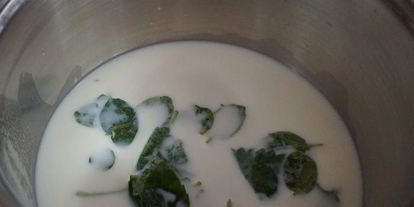 Шаг 1: торта-мороженого семифредо-тирамису