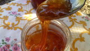 Рецепт Яблочного желе