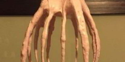 Шаг 5: вишневого зефира