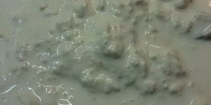 Шаг 4: драников, запеченных с грибами и мясом под сырным соусом