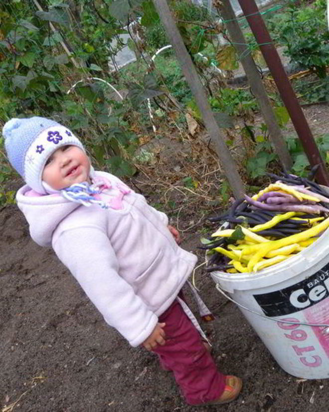 Рецепт фрикаделек из индейки и стручковой фасоли