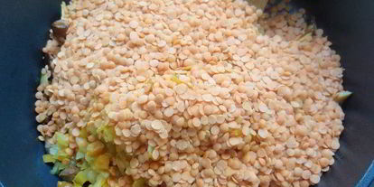 Шаг 3: чечевицы с лисичками