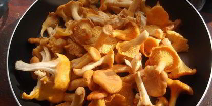 Шаг 8: чечевицы с лисичками