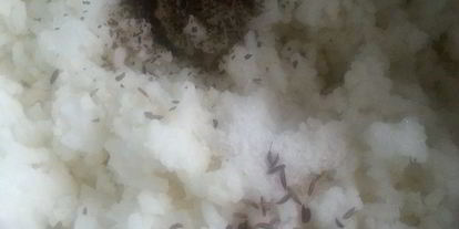 Шаг 6: тыквенного риса на halloween