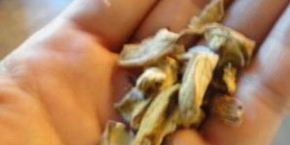 Шаг 5: жареной картошки с сушеными грибами