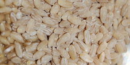 Шаг 1: долмы из виноградных листьев