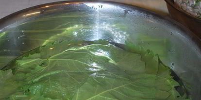 Шаг 3: долмы с чесночным соусом и кинзой