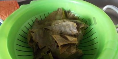 Шаг 1: долмы с мятой и круглым рисом