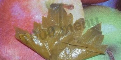 Шаг 7: долмы с мятой и круглым рисом